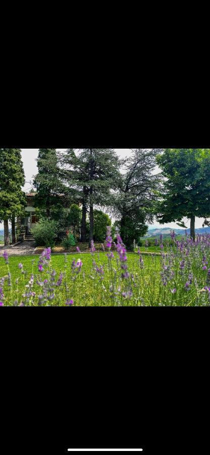 Villa La Baita Nei Boschi Serramazzoni Exterior foto