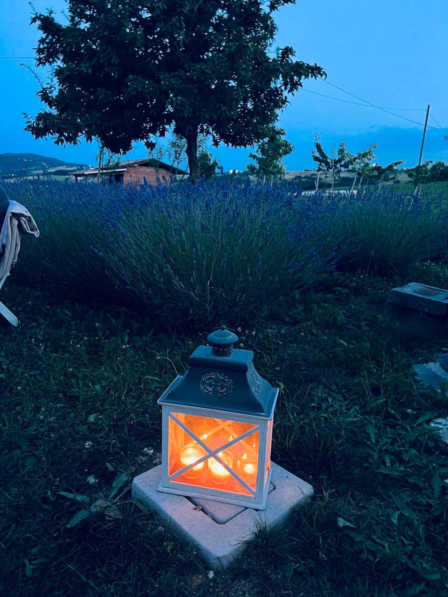 Villa La Baita Nei Boschi Serramazzoni Exterior foto